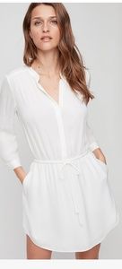 Aritzia 100% Silk Bennett dress